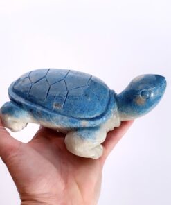 Trolleite tortoise