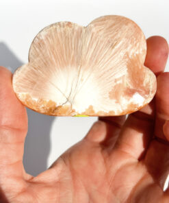 Pink Scolecite cloud