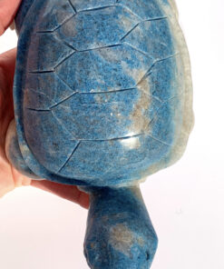 Trolleite tortoise