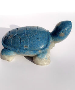 Trolleite tortoise