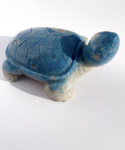 Trolleite tortoise