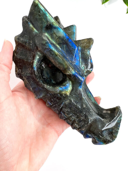 Labradorite dragon head