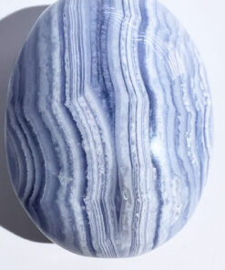 Blue Lace Agate palm