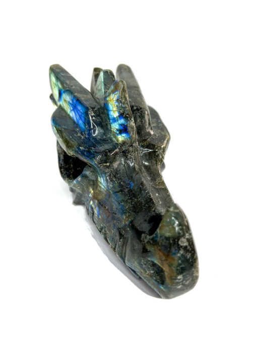 Labradorite dragon head