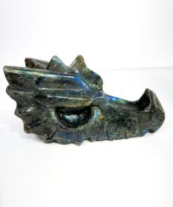 Labradorite dragon head