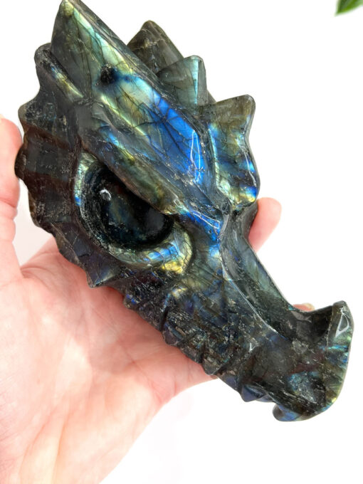 Labradorite dragon head