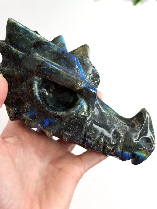 Labradorite dragon head