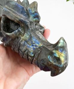 Labradorite dragon head