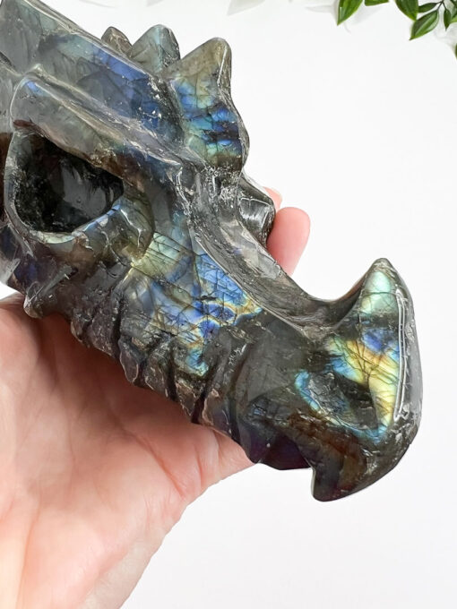 Labradorite dragon head