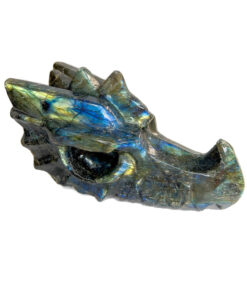 Large Labradorite dragon head