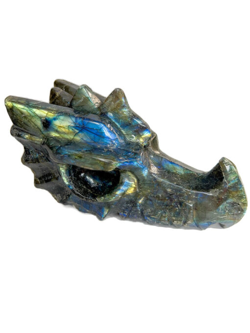 Large Labradorite dragon head