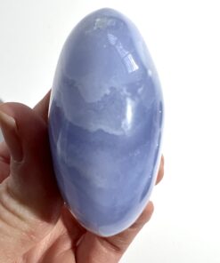 Blue Lace Agate palm