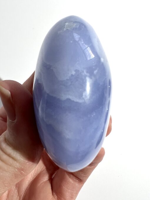 Blue Lace Agate palm