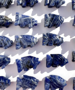 Sodalite fish