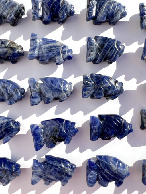 Sodalite fish