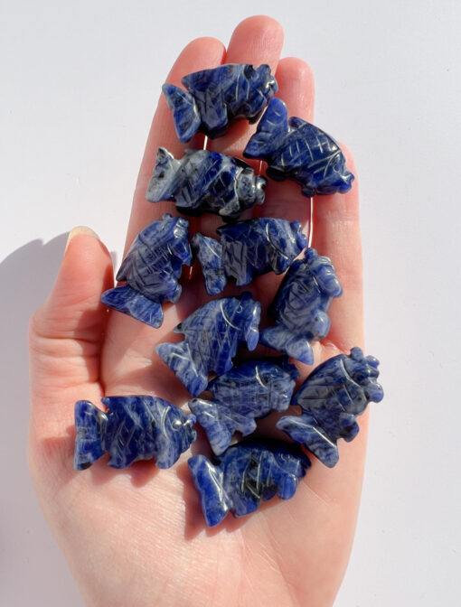 Sodalite fish