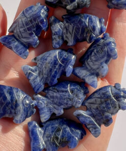 Sodalite fish