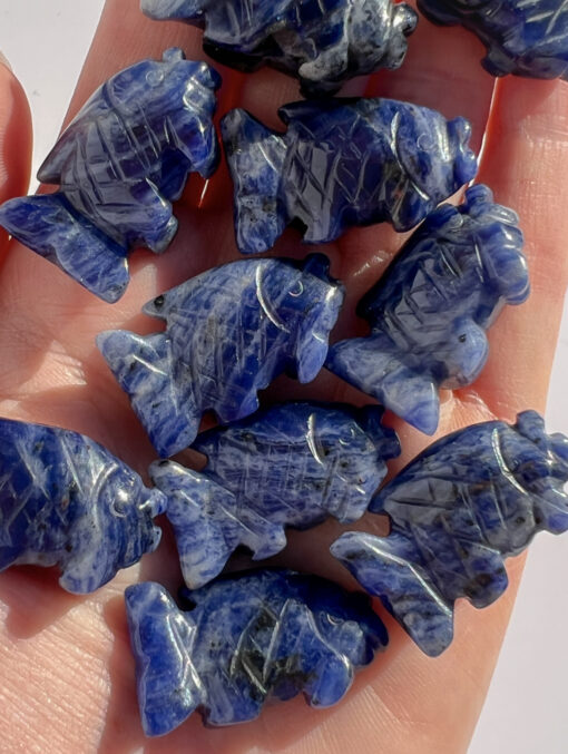 Sodalite fish