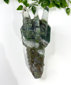 Large Moss Agate dragon head