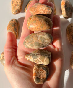 Leopardskin Jasper