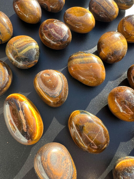 Tigers eye tumble