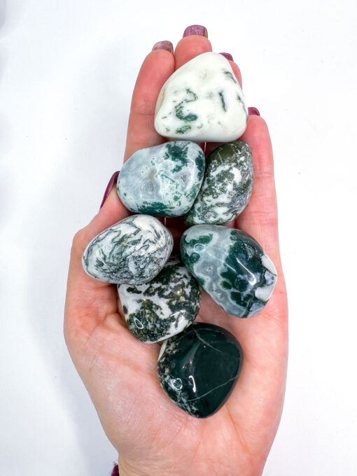 Tree Agate tumble