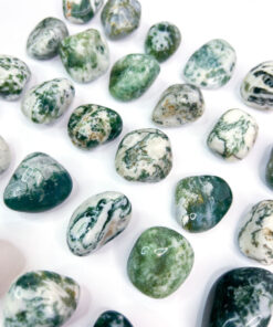 Tree Agate tumble