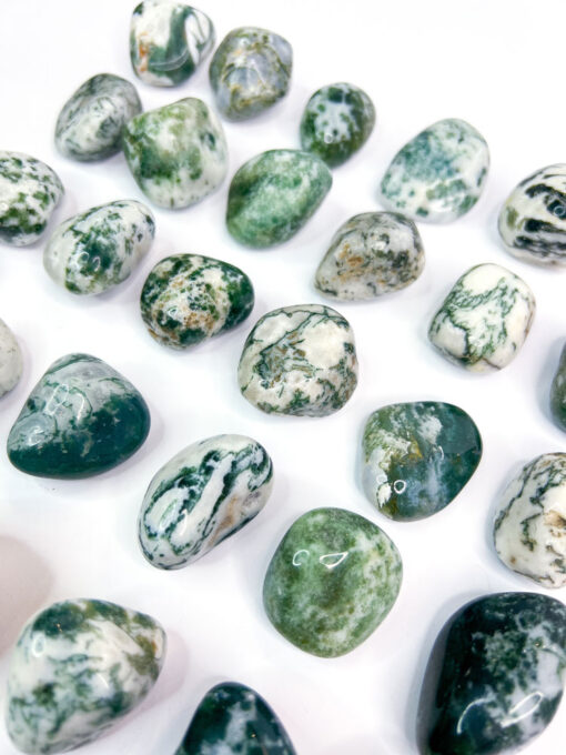 Tree Agate tumble