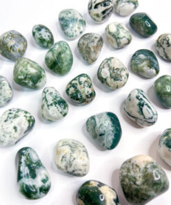 Tree Agate tumble