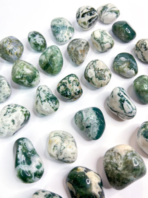 Tree Agate tumble