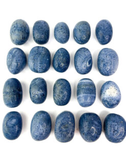 Blue Coral tumbles