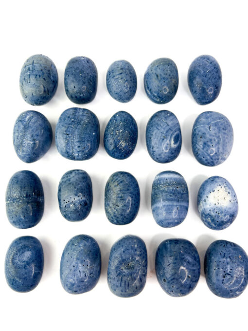 Blue Coral tumbles