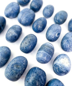 Blue Coral tumbles