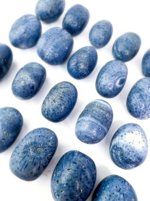 Blue Coral tumbles