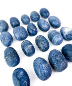 Blue Coral tumbles