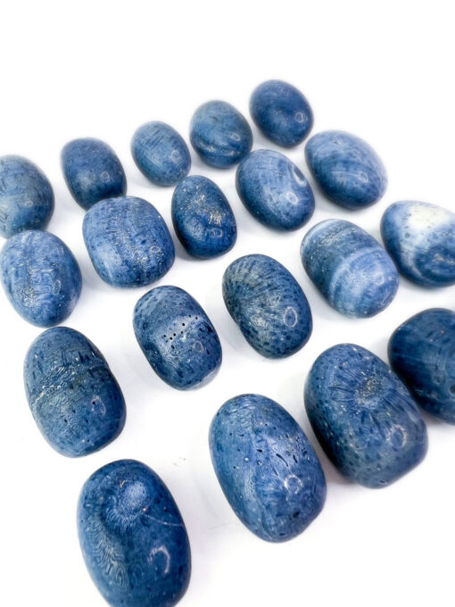 Blue Coral tumbles