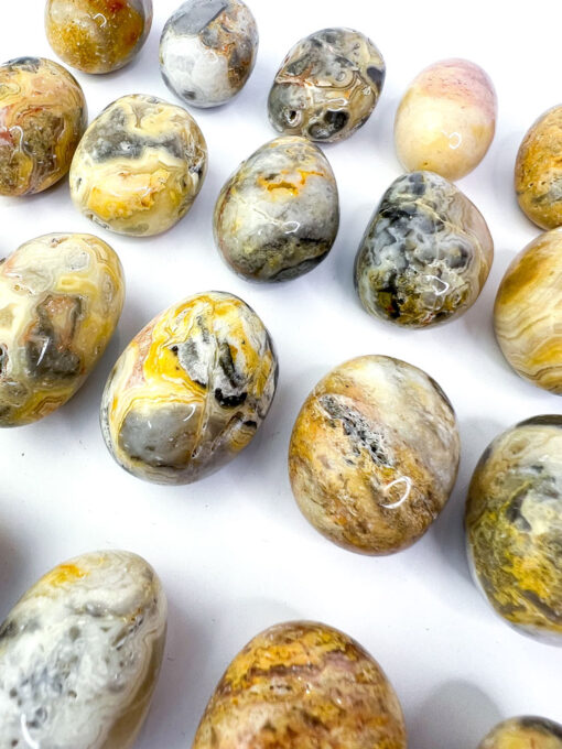 Crazy Lace Agate tumbles