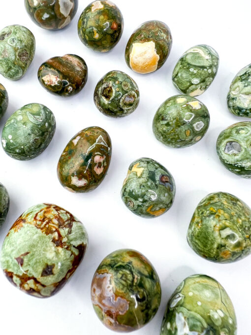 Rainforest Jasper tumbles