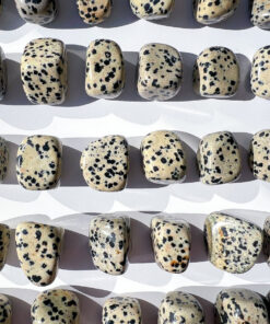 Dalmatian Jasper tumbles