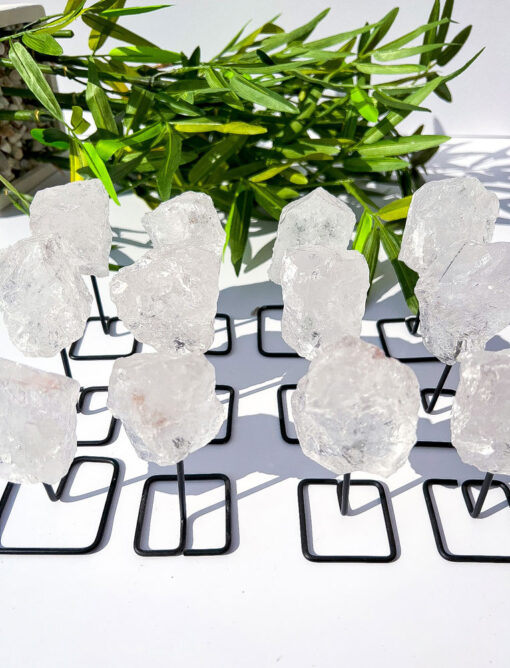 Raw Clear Quartz on Stands