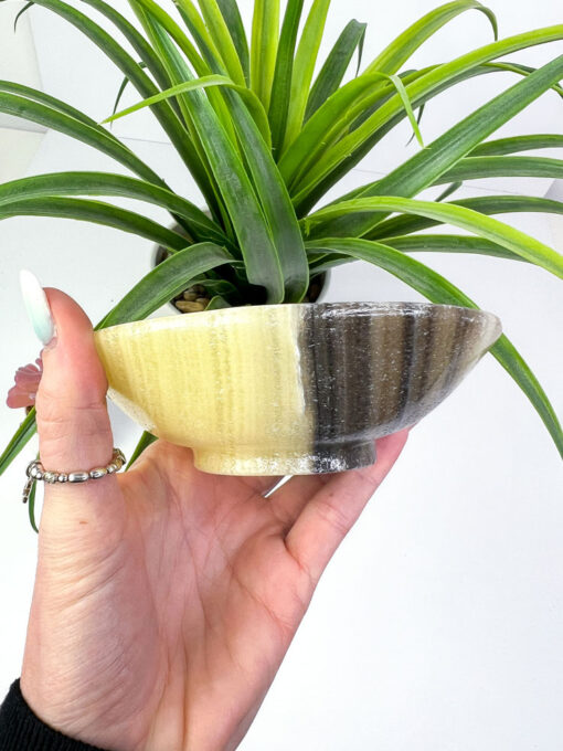 Zebra Calcite bowl / Zebra Onyx bowl