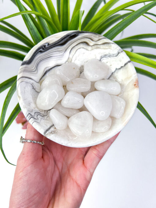 Zebra Calcite bowl / Zebra Onyx bowl