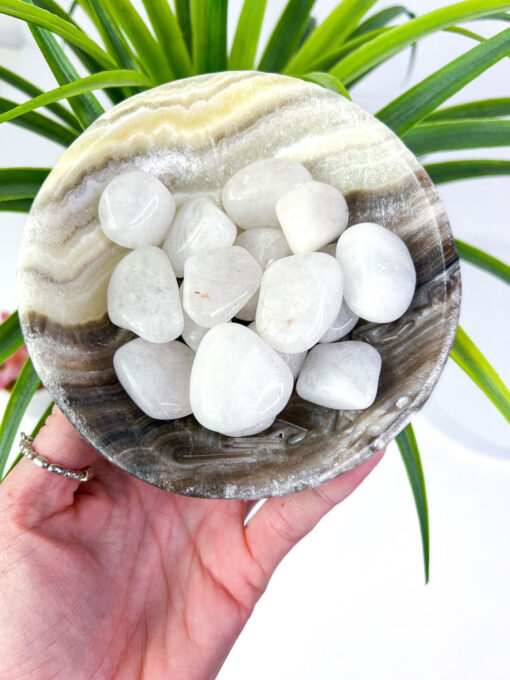 Zebra Calcite bowl / Zebra Onyx bowl