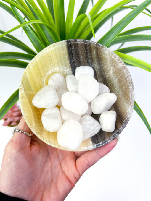 Zebra Calcite bowl / Zebra Onyx bowl