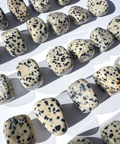 Dalmatian Jasper tumbles