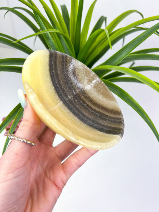 Zebra Calcite bowl / Zebra Onyx bowl