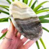 Zebra Calcite bowl / Zebra Onyx bowl