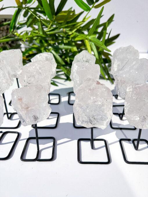 Raw Clear Quartz on Stands