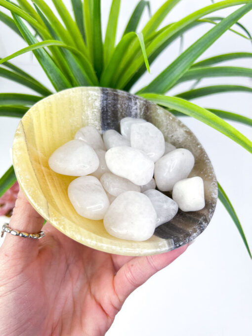 Zebra Calcite bowl / Zebra Onyx bowl