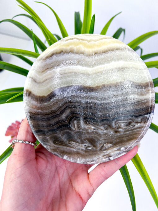 Zebra Calcite bowl / Zebra Onyx bowl